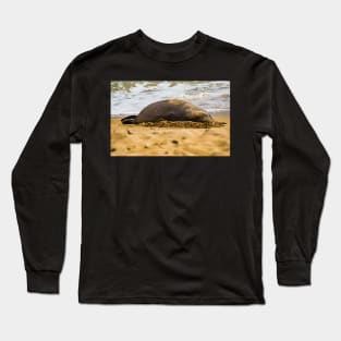 Monk seal 1 Long Sleeve T-Shirt